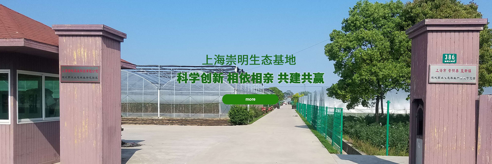 球友会在线体育