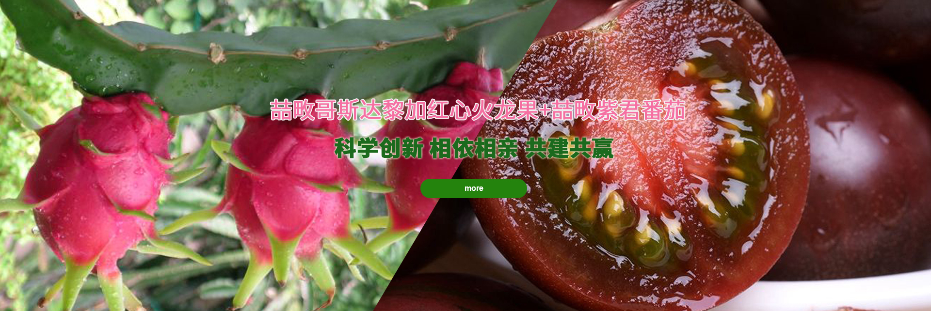 球友会在线体育