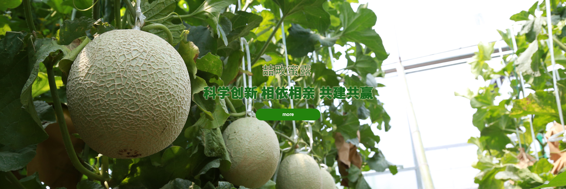 球友会体育在线
